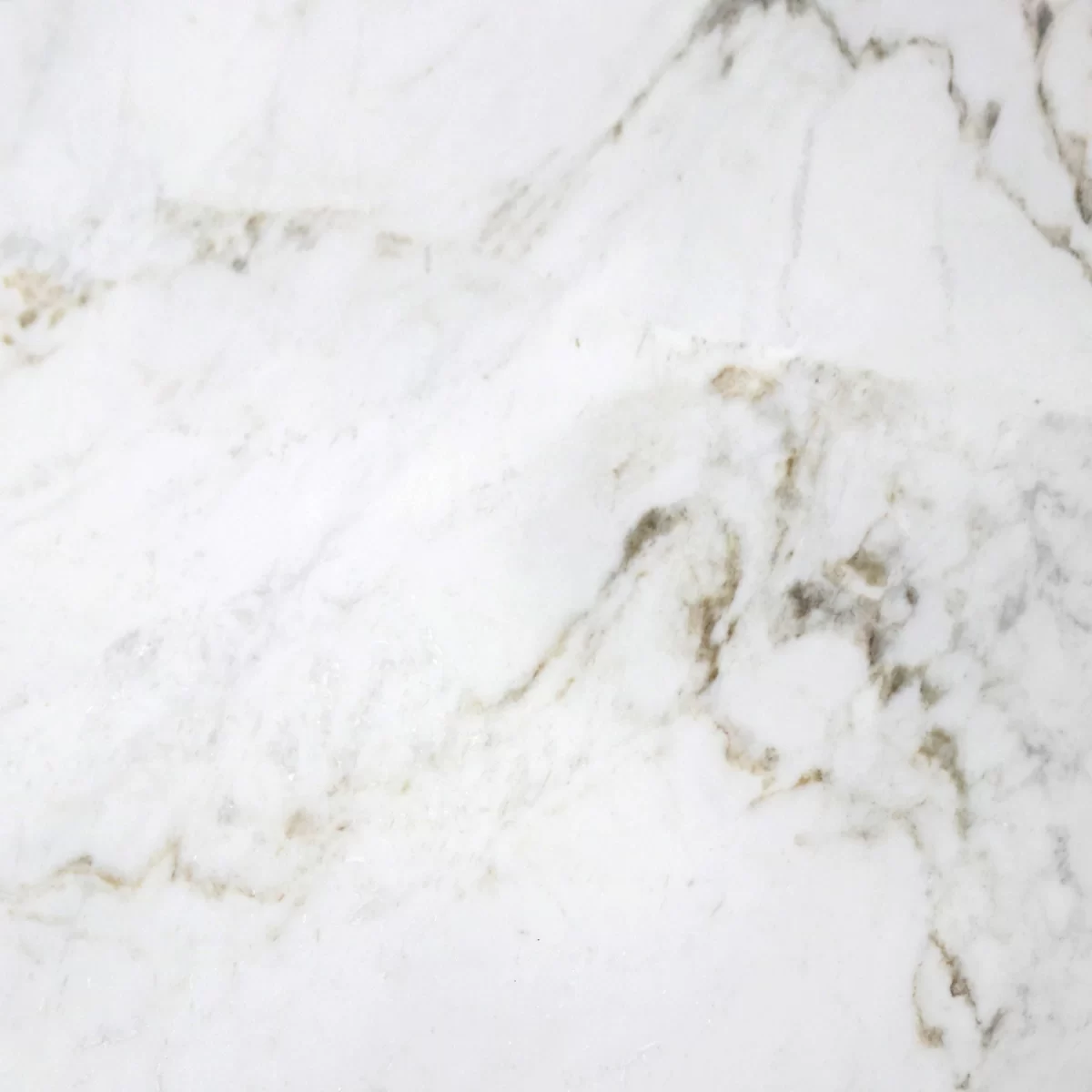 Bianco Zhou Marble